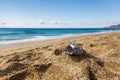 Pollution of the planet with human waste. An empty tin can thrown away by the sea on the beach. Garbage pollution Royalty Free Stock Photo