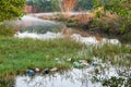 River polluted with rubbish and trash destroying the environment and a hazard to the ecosystem Royalty Free Stock Photo