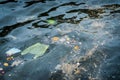 Pollution in the water. Royalty Free Stock Photo
