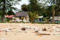 Pollutions and garbages on the beach Royalty Free Stock Photo