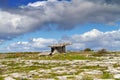 Polnabrone Dolmen in Burren