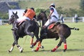 Polo Royalty Free Stock Photo