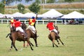 Polo Royalty Free Stock Photo
