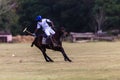 Polo Ball Player Pony Backhand Hit Royalty Free Stock Photo