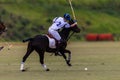 Polo Ball Player Pony Backhand Royalty Free Stock Photo