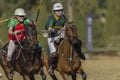 Polo-Cross Horses Women Action