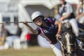 Polo-Cross Player Horse