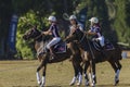 Polo-Cross Players Horses