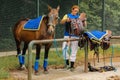 Polo equipment. Man saddling a polo horse. Royalty Free Stock Photo