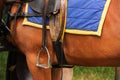 Polo equipment. Saddle and stirrup. Royalty Free Stock Photo