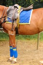 Polo equipment. Saddle and stirrup. Royalty Free Stock Photo