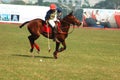 Polo Game of Kolkata-India Royalty Free Stock Photo