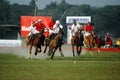 Polo Game of Kolkata-India Royalty Free Stock Photo