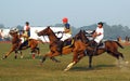 Polo Game of Kolkata-India Royalty Free Stock Photo