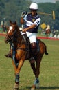 Polo Game of Kolkata-India Royalty Free Stock Photo