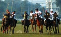 Polo Game of Kolkata-India Royalty Free Stock Photo