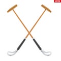 Polo game mallet Royalty Free Stock Photo