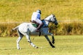 Polo Player Gray Horse Field Game Action Royalty Free Stock Photo