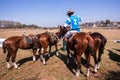 Polo Grounds Riders Horses Shongweni Hillcrest Royalty Free Stock Photo