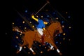 Polo Horse Player Royalty Free Stock Photo