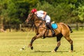 Horse Polo Player Field Game Action Royalty Free Stock Photo