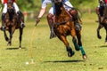 Horses Polo Players Field Game Abstract Action Royalty Free Stock Photo