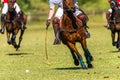 Horses Polo Players Field Game Abstract Action