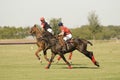 Polo Match Royalty Free Stock Photo