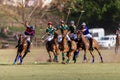 Polo Match Chile South-Africa Action