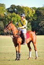 Polo on the Midway Royalty Free Stock Photo