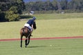 Polo player