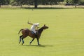 Polo player. Argentine cup. Dublin. Ireland Royalty Free Stock Photo