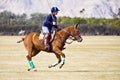 Polo player on galloping horse Royalty Free Stock Photo