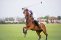 Polo player Royalty Free Stock Photo