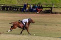 Polo Player Pony Action Balance Royalty Free Stock Photo