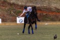 Polo Player Pony Action Balance Royalty Free Stock Photo