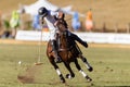 Polo Player Pony Action Ball Royalty Free Stock Photo