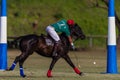 Polo Player Pony Action Goals Royalty Free Stock Photo