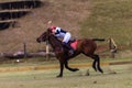 Polo Player Pony Hit Ball Action Royalty Free Stock Photo