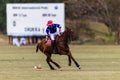 Polo Player Pony Play Action Royalty Free Stock Photo