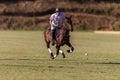 Polo Player Pony Gallop Ball Royalty Free Stock Photo