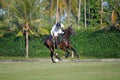 Polo player is riding on a horse to grab a ball