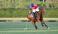 Polo player use a mallet hit ball in tournament Royalty Free Stock Photo