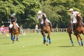 Polo players. Argentine cup. Dublin. Ireland