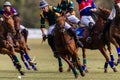 Polo Players Close Focus Action