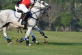 Polo players are competing in the field Royalty Free Stock Photo