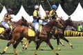 Polo Players and Horses Royalty Free Stock Photo