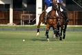Polo players Royalty Free Stock Photo