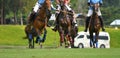 Polo players are riding on horseback to grab the polo ball in a fierce speed