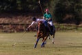 Polo Riders Pony Action Balance Royalty Free Stock Photo